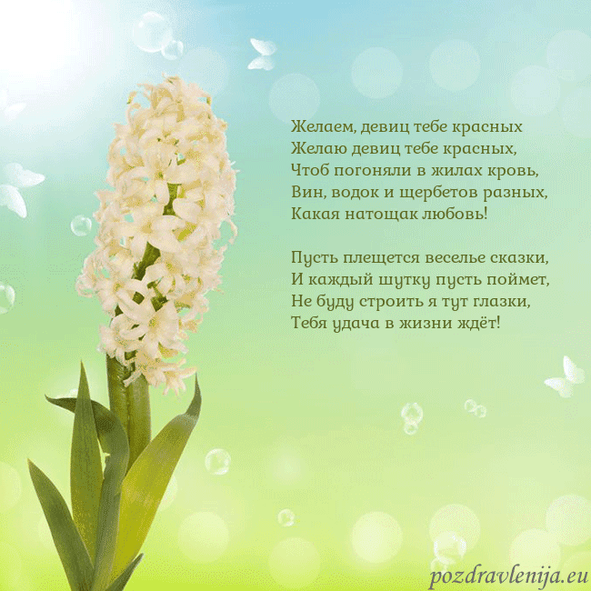 Открытка с гиацинтом