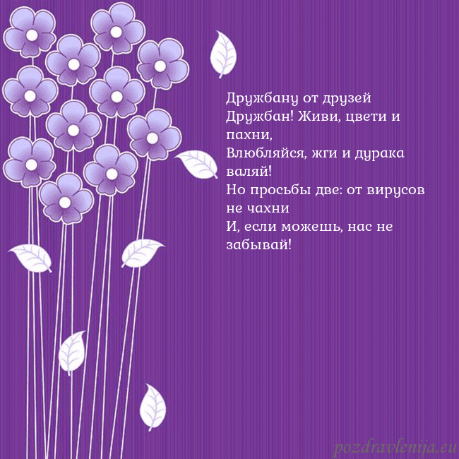 Открытка с фиолетовыми цветами