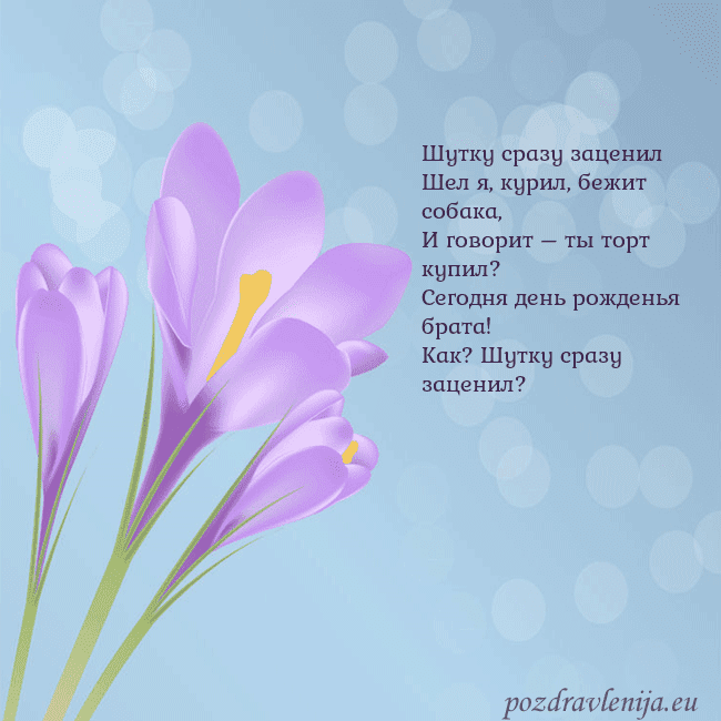 Открытка с крокусом