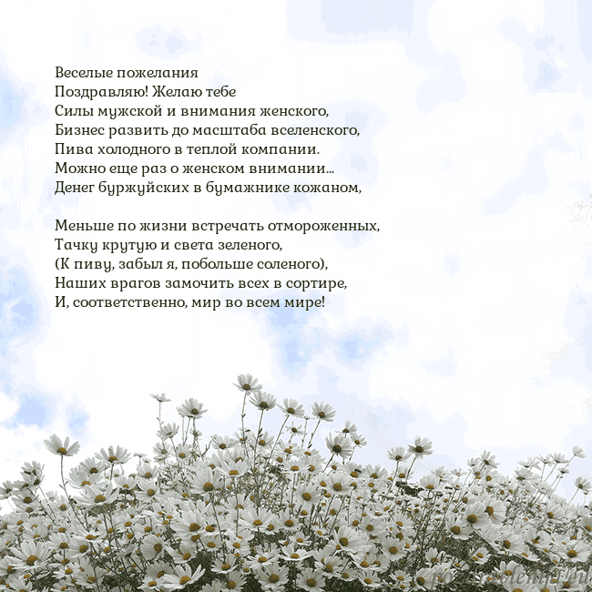 Открытка с ромашками