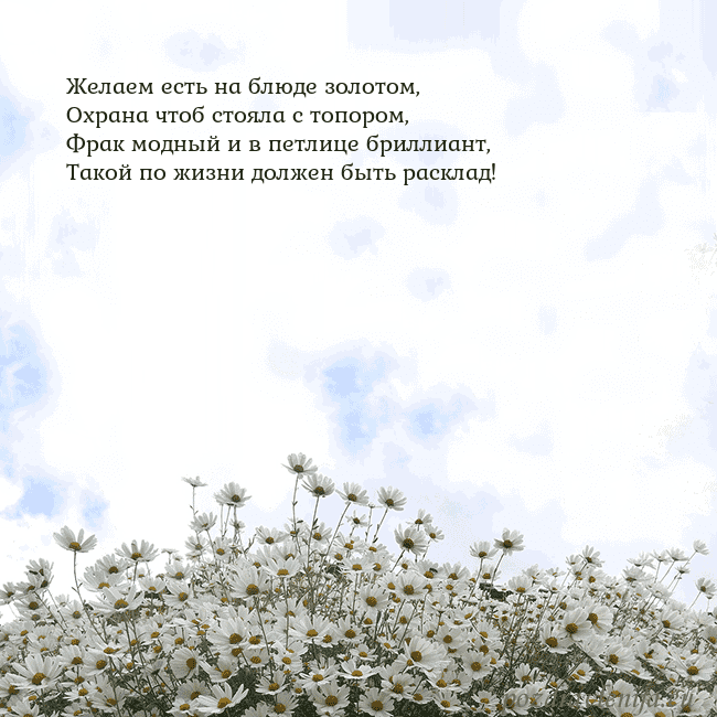 Открытка с ромашками