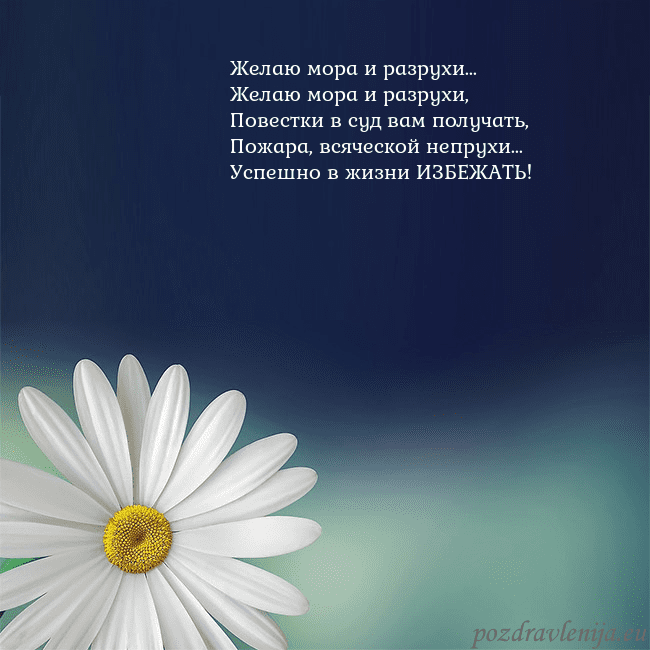 Открытка с большой ромашкой