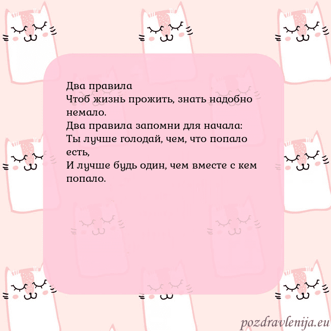 Розовая открытка с забавными кошками