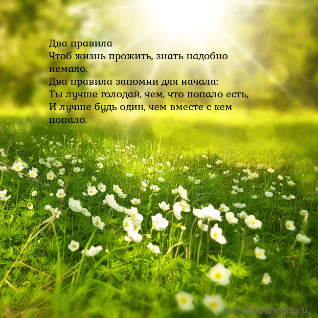 Электронная открытка с утопающим в солнечном свете лугом