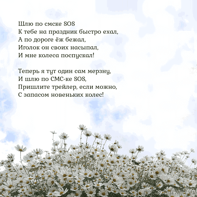 Открытка с ромашками