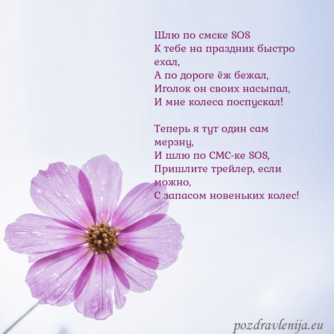 Электронная открытка с фиолетовым цветком