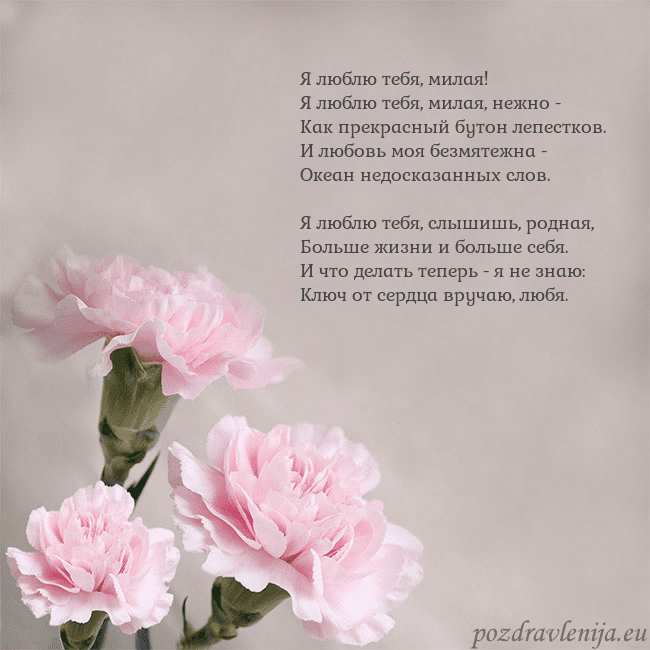 Открытка с розовыми гвоздиками Я люблю тебя, милая!
Я люблю тебя, милая, нежно -
Открытка с розовыми гвоздиками
