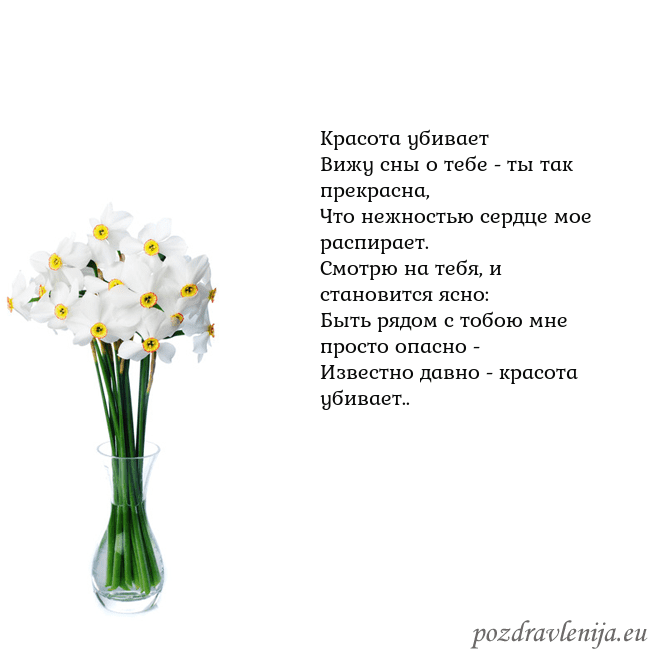 Открытка с нарциссами Красота убивает
Вижу сны о тебе - ты так прекрасна Открытка с нарциссами