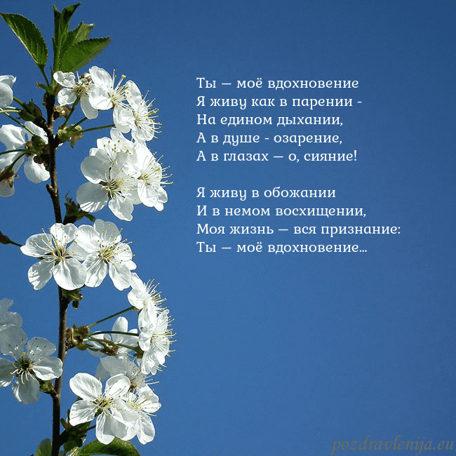 Открытка с весенними цветами Ты – моё вдохновение
Я живу как в парении -
На еди Открытка с весенними цветами