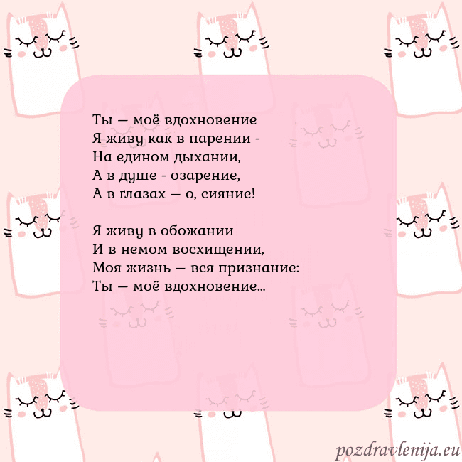 Розовая открытка с забавными кошками Ты – моё вдохновение
Я живу как в парении -
На еди Розовая открытка с забавными кошками
