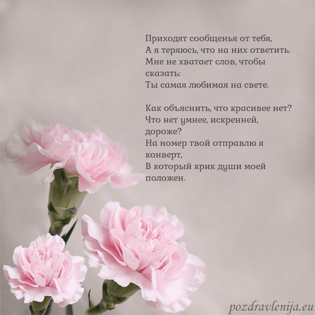 Открытка с розовыми гвоздиками Приходят сообщенья от тебя,
А я теряюсь, что на ни Открытка с розовыми гвоздиками