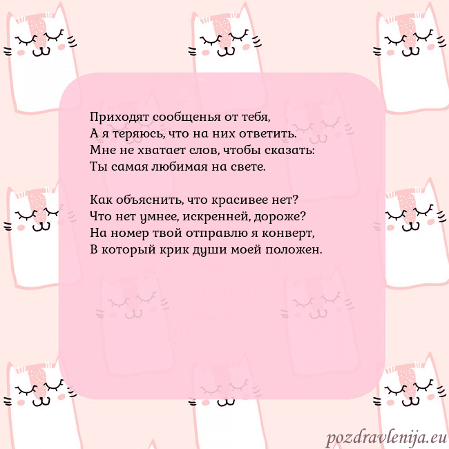 Розовая открытка с забавными кошками Приходят сообщенья от тебя,
А я теряюсь, что на ни Розовая открытка с забавными кошками