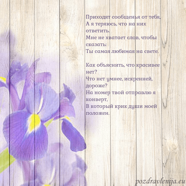 Открытка с ирисами Приходят сообщенья от тебя,
А я теряюсь, что на ни Открытка с ирисами