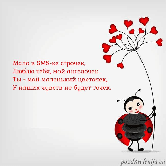 Открытка с божьей коровкой Мало в SMS-ке строчек,
Люблю тебя, мой ангелочек.
Открытка с божьей коровкой