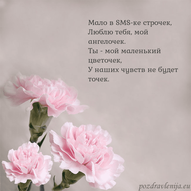 Открытка с розовыми гвоздиками Мало в SMS-ке строчек,
Люблю тебя, мой ангелочек.
Открытка с розовыми гвоздиками