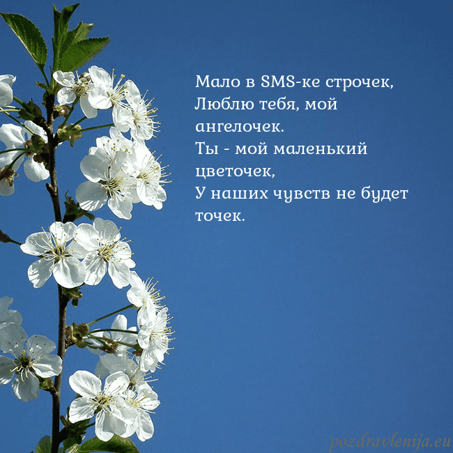 Открытка с весенними цветами Мало в SMS-ке строчек,
Люблю тебя, мой ангелочек.
Открытка с весенними цветами