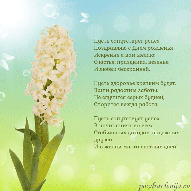 Открытка с гиацинтом