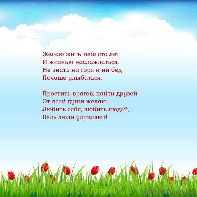 Открытка с тюльпанами