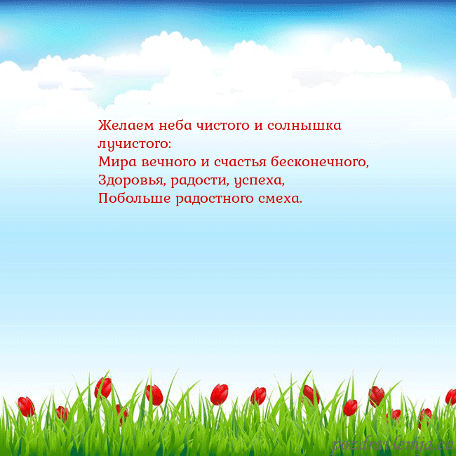 Открытка с тюльпанами