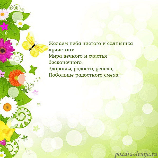 Открытка с разноцветными цветами и бабочками