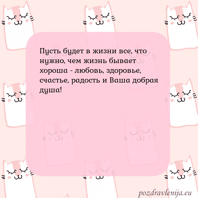 Розовая открытка с забавными кошками