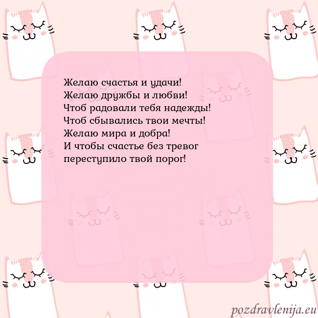 Розовая открытка с забавными кошками