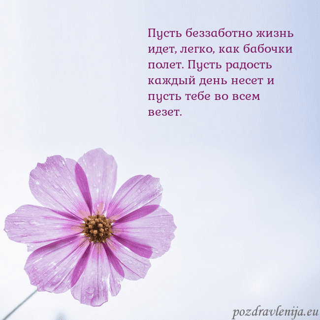 Электронная открытка с фиолетовым цветком