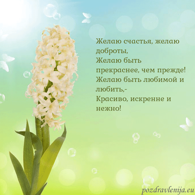 Открытка с гиацинтом