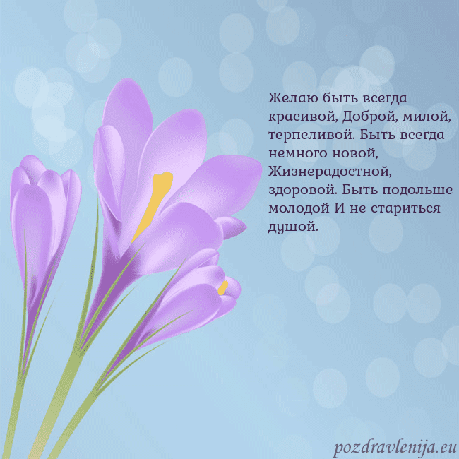 Открытка с крокусом