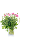 Открытки с днем рождения Открытка с цветами в вазе